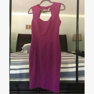 Cache dress - plum/fuschia